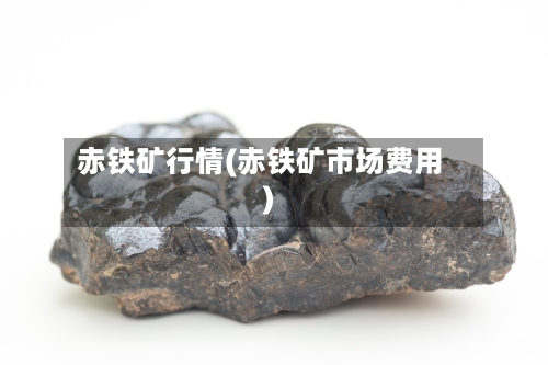 赤铁矿行情(赤铁矿市场费用)
