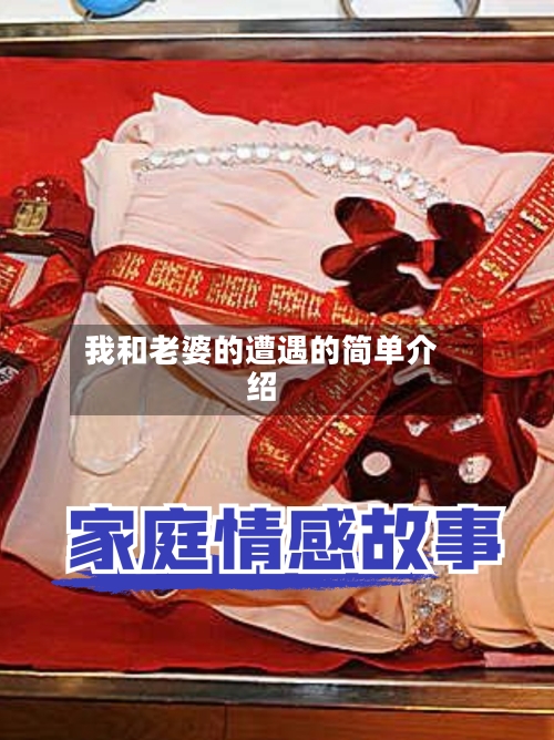 我和老婆的遭遇的简单介绍