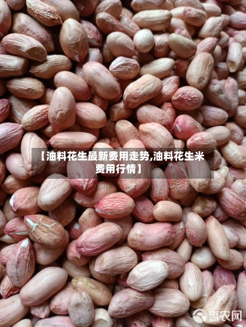 【油料花生最新费用走势,油料花生米费用行情】