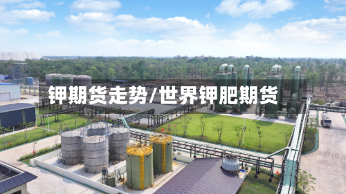钾期货走势/世界钾肥期货