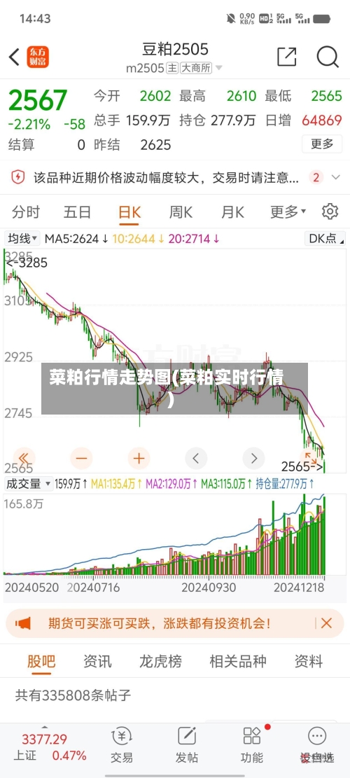 菜粕行情走势图(菜粕实时行情)-第3张图片