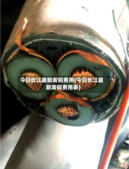 今日长江最新废铜费用(今日长江最新废铜费用表)-第2张图片