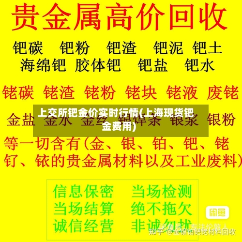 上交所钯金价实时行情(上海现货钯金费用)