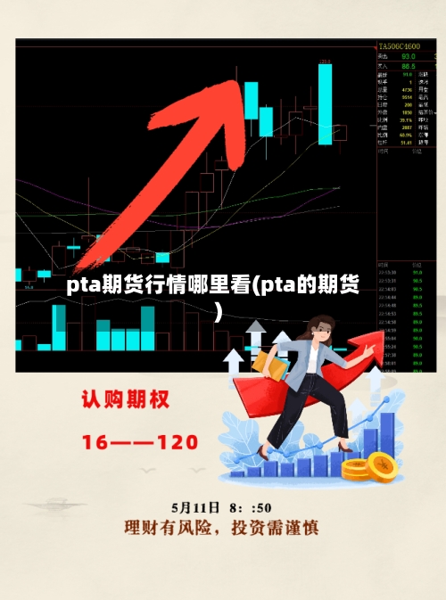 pta期货行情哪里看(pta的期货)-第2张图片