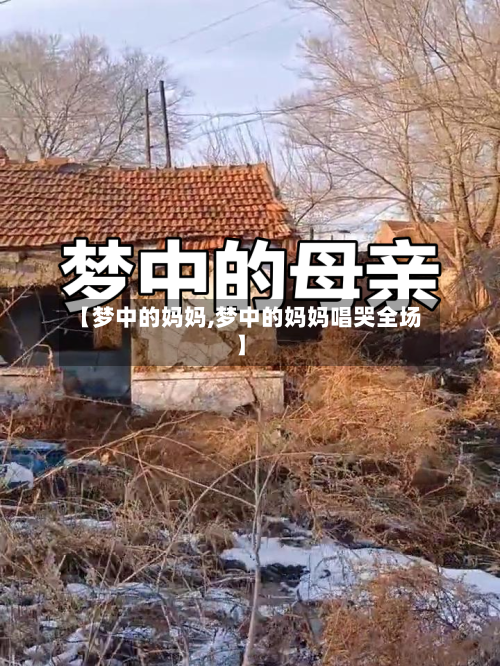 【梦中的妈妈,梦中的妈妈唱哭全场】