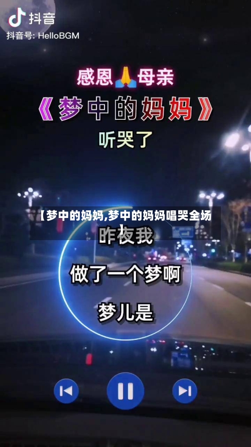 【梦中的妈妈,梦中的妈妈唱哭全场】-第2张图片