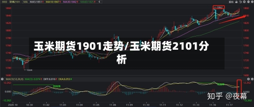 玉米期货1901走势/玉米期货2101分析-第2张图片