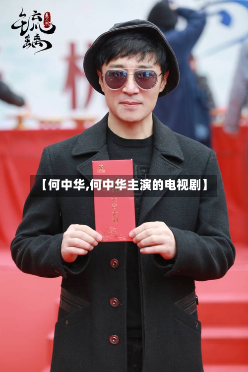 【何中华,何中华主演的电视剧】-第2张图片
