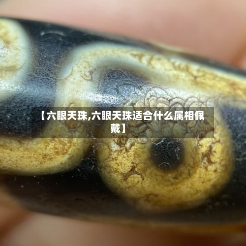 【六眼天珠,六眼天珠适合什么属相佩戴】-第3张图片