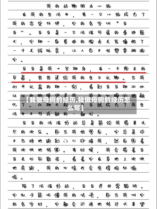 【我做母狗的经历,我做母狗的经历怎么写】