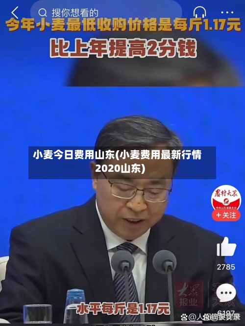 小麦今日费用山东(小麦费用最新行情2020山东)