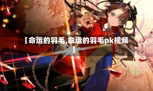 【命运的羽毛,命运的羽毛pk视频】