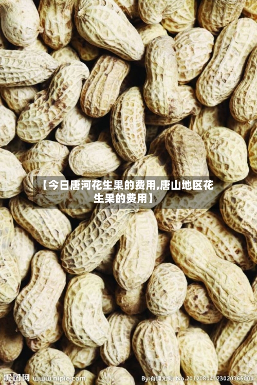 【今日唐河花生果的费用,唐山地区花生果的费用】