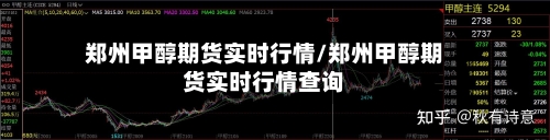 郑州甲醇期货实时行情/郑州甲醇期货实时行情查询-第2张图片