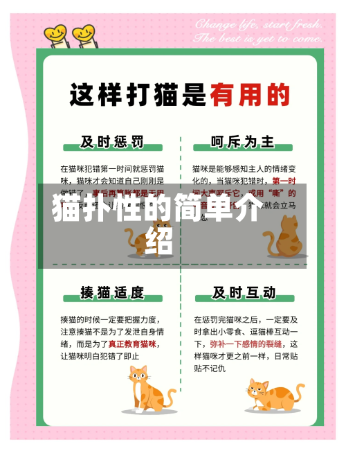 猫扑性的简单介绍