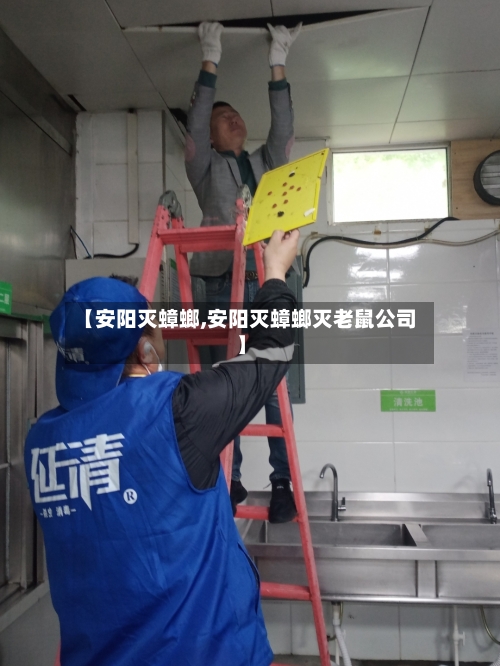 【安阳灭蟑螂,安阳灭蟑螂灭老鼠公司】-第2张图片