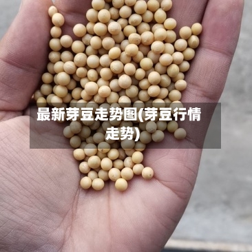 最新芽豆走势图(芽豆行情走势)-第2张图片