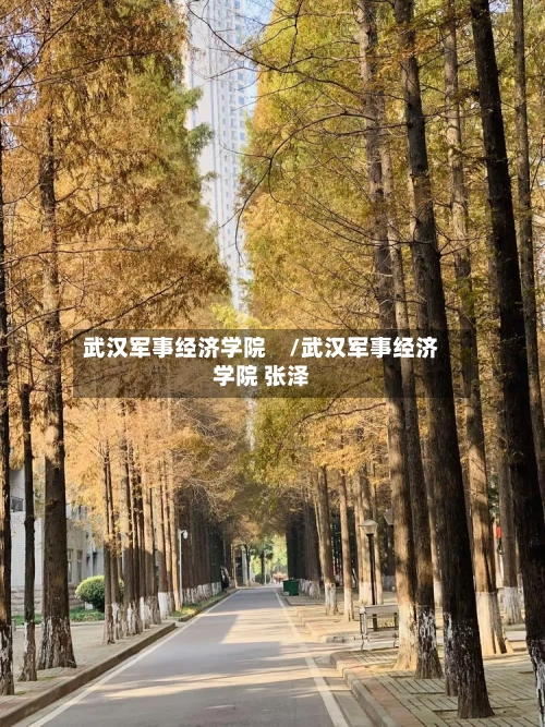 武汉军事经济学院　/武汉军事经济学院 张泽
