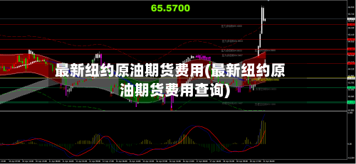 最新纽约原油期货费用(最新纽约原油期货费用查询)