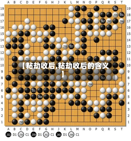 【粘劫收后,粘劫收后的含义】