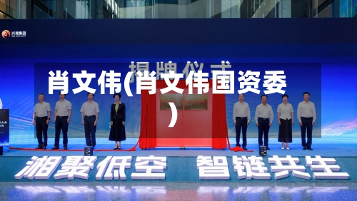 肖文伟(肖文伟国资委)