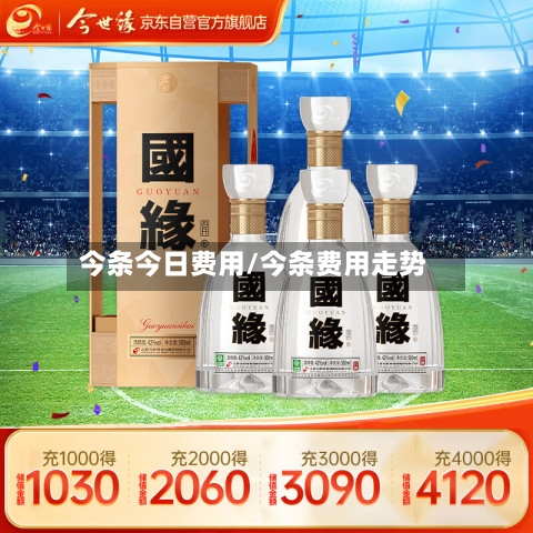 今条今日费用/今条费用走势-第3张图片