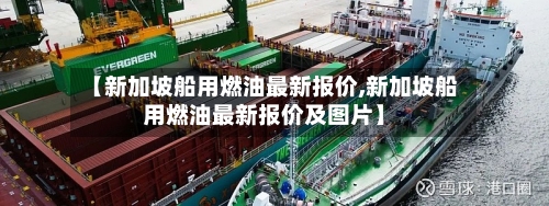 【新加坡船用燃油最新报价,新加坡船用燃油最新报价及图片】-第2张图片