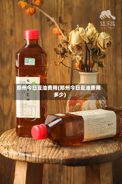 郑州今日豆油费用(郑州今日豆油费用多少)