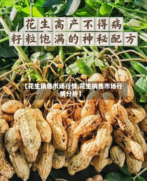 【花生销售市场行情,花生销售市场行情分析】-第3张图片