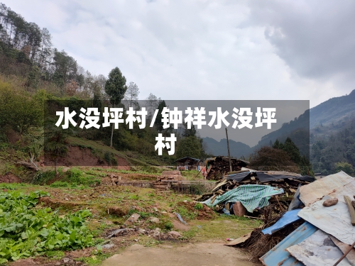 水没坪村/钟祥水没坪村
