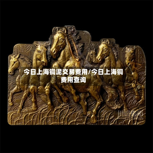 今日上海铜泥交易费用/今日上海铜费用查询-第2张图片