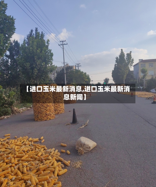 【进口玉米最新消息,进口玉米最新消息新闻】