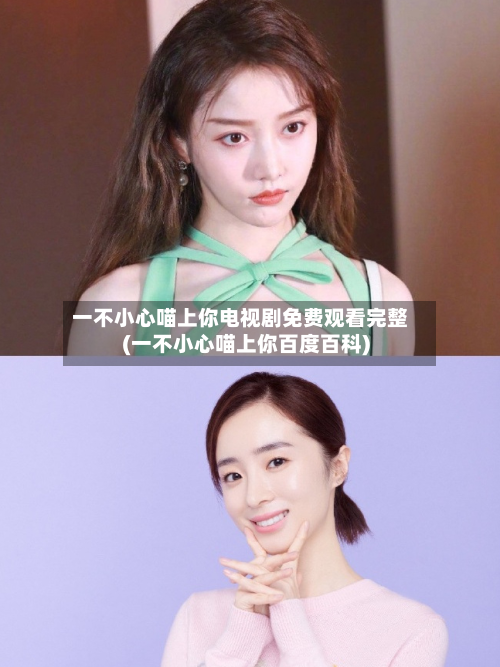 一不小心喵上你电视剧免费观看完整(一不小心喵上你百度百科)