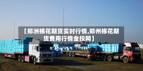 【郑洲棉花期货实时行情,郑州棉花期货费用行情金投网】-第2张图片