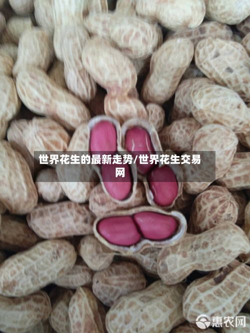 世界花生的最新走势/世界花生交易网-第3张图片
