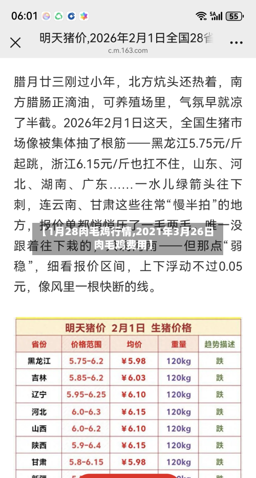 【1月28肉毛鸡行情,2021年3月26日肉毛鸡费用】