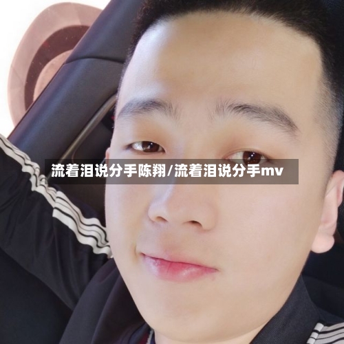 流着泪说分手陈翔/流着泪说分手mv-第1张图片