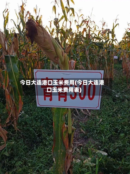 今日大连港口玉米费用(今日大连港口玉米费用表)