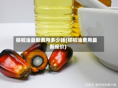 棕榈油最新费用多少钱(棕榈油费用最新报价)