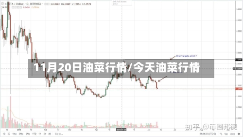 11月20日油菜行情/今天油菜行情