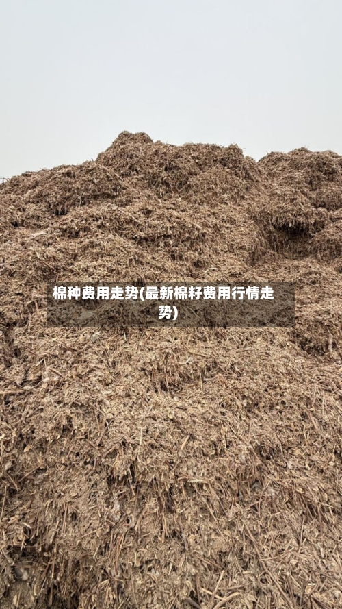 棉种费用走势(最新棉籽费用行情走势)-第2张图片