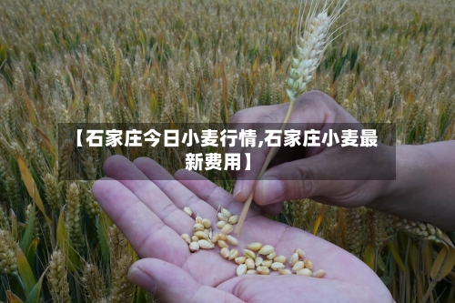 【石家庄今日小麦行情,石家庄小麦最新费用】-第2张图片