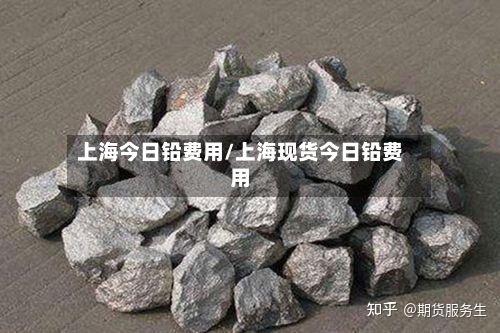 上海今日铅费用/上海现货今日铅费用