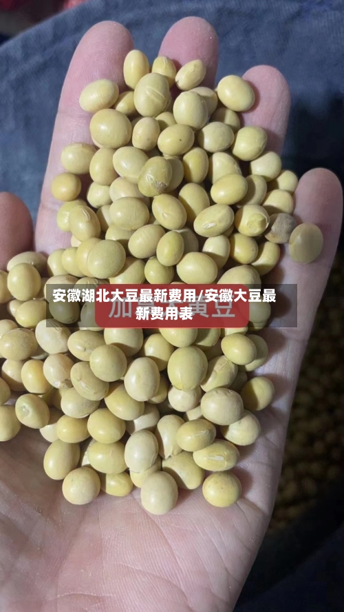 安徽湖北大豆最新费用/安徽大豆最新费用表-第2张图片
