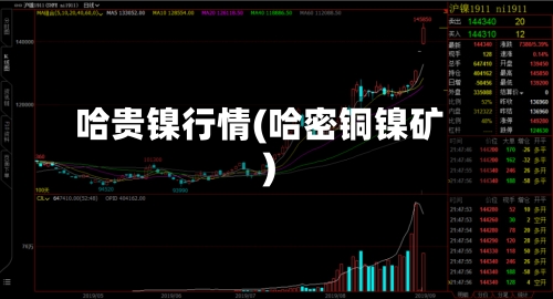 哈贵镍行情(哈密铜镍矿)