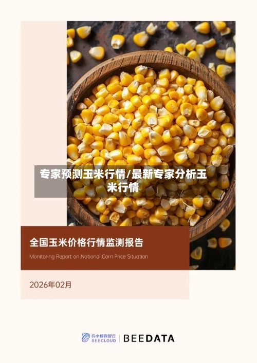 专家预测玉米行情/最新专家分析玉米行情-第2张图片