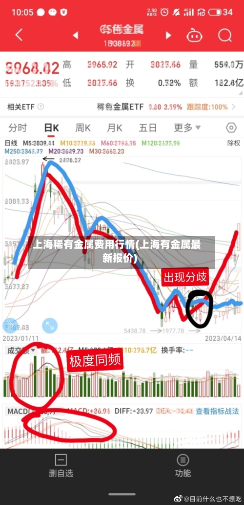 上海稀有金属费用行情(上海有金属最新报价)