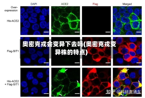 奥密克戎会变异下去吗(奥密克戎变异株的特点)