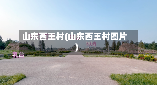 山东西王村(山东西王村图片)