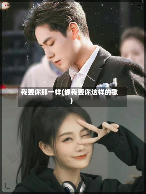 我要你那一样(像我要你这样的歌)-第2张图片